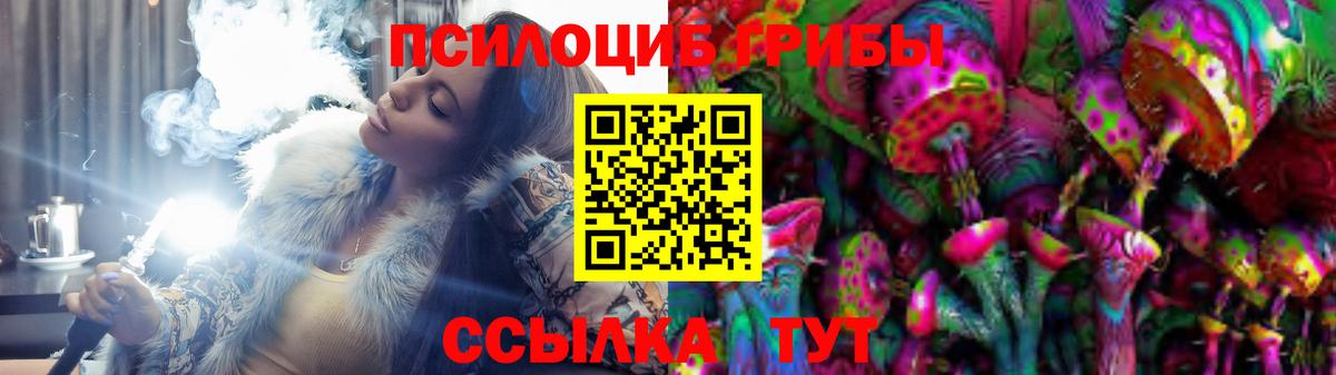 Галлюциногенные грибы Psilocybe  Вход с VPN  Ивантеевка 